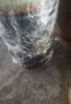 歐麗薇蘭 Olivoila  食用油 壓榨 純正橄欖油1.6L  曬單實(shí)拍圖