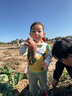G.DUCKKIDS童裝男童秋裝套裝兒童服裝男寶寶春秋季紳士三件套1-3歲小童衣服 綠色【小男孩】 90 尺碼1~2歲【 80-90cm】cm 曬單實(shí)拍圖