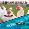 頑皮（Wanpy）Happy100果飯兒全價(jià)雙拼成犬糧添加雞肉凍干10kg 曬單實(shí)拍圖