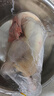 天農 慢養純種清遠雞 2斤 無(wú)抗供港走地雞整雞肉 冷凍 生態(tài)散養168天 曬單實(shí)拍圖