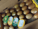 佳沛（zespri）新西蘭  陽(yáng)光金奇異果25-27粒原箱特大果單果約122-146g  獼猴桃 曬單實(shí)拍圖