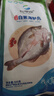 仙泉湖三去白蕉海鱸魚1斤/條凈膛冷凍刺少肉厚珠海特產(chǎn)500g生鮮食材 曬單實(shí)拍圖