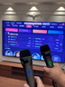 天籟K歌適用于海信雷鳥TCL海爾可接電視音樂K歌MM-5DMAX無線麥克風(fēng)卡拉OK唱歌神器話筒家用娛樂家庭KTV MM-5DMAX 雙支 槍色升級款 MM-5升級系列 曬單實拍圖