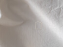 蕉內【王一博同款】3系男女同款短袖親膚棉感透氣寬松打底T恤男上衣 曬單實(shí)拍圖