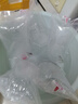 樂(lè )淘逸寵三湖慈鯛活體馬鯛魚(yú)中小型熱帶觀(guān)賞魚(yú)淡水巖棲鯛魚(yú) 4-5cm鯛魚(yú)混搭10條（5個(gè)品種） 曬單實(shí)拍圖