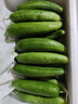 京鮮生 山東水果嫩黃瓜 凈重5斤 單根70g+ 小青瓜生吃水果瓜 源頭直發(fā) 曬單實(shí)拍圖