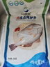 仙泉湖三去斑點(diǎn)尾鱸魚(yú)1斤單條凈膛后冷凍肉厚刺少 海鮮水產(chǎn)中秋生鮮食材 曬單實(shí)拍圖