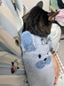 JCZS德國品牌貓咪衣服豬耳朵秋冬季加厚保暖可愛(ài)背心金漸層布偶幼貓狗 冬款藍色小狗 XS碼胸30背20(2斤內) 曬單實(shí)拍圖