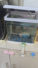 逸樂(lè )寵透明塑料金魚(yú)缸仿玻璃亞克力斗魚(yú)缸一體成型防摔桌面水族箱烏龜缸 大號-帶蓋（超透裸缸） 曬單實(shí)拍圖