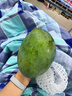 京鮮生 攀枝花凱特芒果 凈重4.5斤 單果300g+ 生鮮水果源頭直發(fā) 曬單實(shí)拍圖