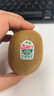 佳沛（zespri）綠奇異果 優(yōu)選大果12粒單果約113-135g  水果禮盒 獼猴桃 曬單實拍圖