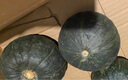 京鮮生＆佳農 山東貝貝南瓜凈重4.5斤4-8頭單果約300g+香甜爆粉源頭直發(fā) 曬單實(shí)拍圖