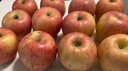 京鮮生 煙臺(tái)紅富士蘋果 凈重5斤  單果190g起 生鮮水果 曬單實(shí)拍圖