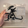 52TOYS 猛獸匣 無(wú)限系列 異形潮玩手辦拼裝變形模型玩具擺件禮物 無(wú)限系列 異形 曬單實(shí)拍圖