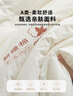 無(wú)印良品A類(lèi)新疆純棉花被子雙人家用四季秋冬棉被芯春秋被200x230cm6斤 曬單實(shí)拍圖