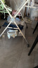babycare皇室獅子王國弱酸紙尿褲新生兒NB68片(<5kg)嬰兒尿不濕親膚 曬單實(shí)拍圖