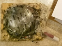 康巴赫（KBH）純鈦炒鍋無(wú)涂層鈦不粘鍋少油煙平底炒菜鍋爐灶通用32cm KGT-C32A  曬單實(shí)拍圖