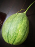 新疆哈密瓜 山東曉蜜瓜 海南曉蜜瓜25號 西州蜜17號 蜜瓜 3-4斤（1-2粒） 脆甜爽口多汁 曬單實(shí)拍圖