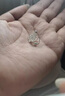 戚小米999純銀花朵耳釘女養(yǎng)耳洞小耳環(huán)小眾2025新款爆款耳環(huán)高級感耳飾 【999足銀】花朵耳釘一對 曬單實拍圖