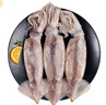 美加佳 鮮凍整只大魷魚（2-3只） 凈重550g 整條魷魚 深海捕撈 海鮮水產(chǎn) 曬單實拍圖