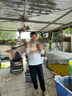美人魚(yú)美人魚(yú)千斤頂輕量巨物竿大物碳素桿青魚(yú)鱘魚(yú)竿黑坑水庫桿 6H 28調 7.5米（送竿稍） 曬單實(shí)拍圖