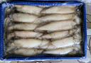 賣(mài)魚(yú)七郎全籽筆管魚(yú)2斤（含保護冰100g）魷魚(yú)海兔子籽烏滿(mǎn)籽帶籽軟足類(lèi) 曬單實(shí)拍圖