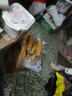 東北黃糯玉米 早餐主食代餐粘苞米棒 單棒均重180g加熱即食一整箱 黃糯180g*10棒 曬單實(shí)拍圖