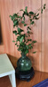 佰花錦水培植物室內(nèi)花卉綠植盆栽辦公室四季常青好養(yǎng)活桌面盆景懶人首選 水培小玻璃瓶+九里香+圓形底座 整體高度約10-20cm/不同植物高度不同 曬單實拍圖