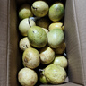 京覓 廣西欽蜜9號百香果 凈重3斤 單果60g+ 新鮮水果生鮮 源頭直發(fā) 曬單實(shí)拍圖