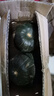 京鮮匠山東正宗真貝貝南瓜 栗香小南瓜 粉糯香甜老瓜蔬菜 產(chǎn)地直發(fā) 精品果 凈重 5斤 中果300g+ 曬單實拍圖