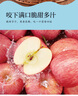 秦悅仙果鮮正宗山東煙臺紅富士蘋(píng)果新鮮水果當季整箱棲霞脆甜蘋(píng)果 5斤【越大越甜80mm+】?jì)?斤 綠色食品認證果園 曬單實(shí)拍圖