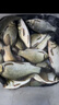 川澤無結(jié)快鎖線組成品主線組套裝日本進口魚線主線強拉力綁好競技線組 4.5m【4卷裝】+收納盒剪刀 1.2號 曬單實拍圖