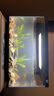 小米米家智能魚缸客廳小型造景生態(tài)家用背景超白玻璃桌面循環(huán)自動喂食 小米智能魚缸+50W加熱棒+增氧泵 曬單實拍圖