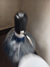 德國(guó)進(jìn)口全自動(dòng)電動(dòng)桶裝水水泵家用抽水泵飲水機(jī)自動(dòng)抽水器 【只賣品質(zhì)】送抽水管+充電器 頂配+德國(guó)進(jìn)口雙泵【可吸32桶】 曬單實(shí)拍圖