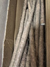 京鮮生 焦作溫縣沙土鐵棍懷山藥 凈重5斤40-50cm 蔬菜可溯源 源頭直發(fā) 曬單實(shí)拍圖