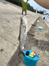 逗號船長(cháng)2025年新款控魚(yú)器帶秤多功能路亞鉗套裝加厚耐用加長(cháng)控大物 曬單實(shí)拍圖