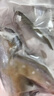 京東超市 海外直采挪威多春魚2斤(4*250g）40-50條 公母混合  燒烤魚類 曬單實拍圖