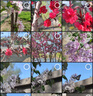 齊心（COMIX）【全網(wǎng)低價】筆筒360°旋轉5格多功能分區(qū)大容量兒童學生桌面收納盒筆盒學習用品開學禮物 EB707白 曬單實拍圖