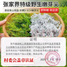益主角莓茶張家界正宗特級野生芽尖高山霉茶正品520g嫩芽教師節(jié)禮物禮品 曬單實拍圖
