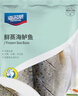 海名威 冷凍三去海鱸魚(yú)880g/2條 (配料包) 海魚(yú) 生鮮魚(yú)類(lèi) 海鮮水產(chǎn) 中秋 曬單實(shí)拍圖