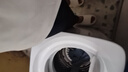 美的（Midea）迷你洗衣機 MB30VH36E 3KG嬰兒小型兒童內衣洗衣機 全自動(dòng)波輪 高溫煮洗 除菌除螨宿舍 以舊換新 曬單實(shí)拍圖