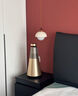 B&O Beosound2 3rd Gen3代音響鉑傲家庭影院無(wú)線(xiàn)藍牙HIFI多媒體音箱  金色 曬單實(shí)拍圖