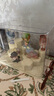 EACHY盲盒展示架收納盒透明防塵手辦玩具labubu泡泡瑪特展示盒-大號 曬單實拍圖