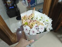 【小雛菊】供佛超長花期鮮花基地直發(fā)好打理菊花多色七夕節(jié)禮物 小雛菊混搭顏色10枝 曬單實(shí)拍圖