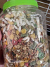 茨格曼倉鼠鼠糧金絲熊糧食糧荷蘭豬飼料蜜袋鼯花枝鼠面包蟲干零食700g 曬單實拍圖