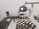 元蘿卜SenseRobotAI下棋機器人國際象棋 對弈 習題 陪練 漲棋 AI講題 人機互動(dòng) 家用學(xué)習【國際象棋】 曬單實(shí)拍圖