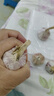 紫白皮蒜即食水果大蒜今年新鮮干蒜生鮮調(diào)料蒜瓣 5頭大蒜 0.36斤 曬單實(shí)拍圖