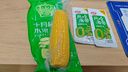 十月稻田 東北水果甜玉米 3.52斤(220g*8根) 香甜 中秋禮盒 低脂早餐 零食 曬單實(shí)拍圖