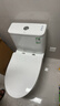 九牧（JOMOO）11173-2-1/31KD-3大力神家用馬桶虹吸抗菌節水潔具305坑距 曬單實(shí)拍圖