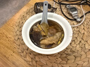 東菱（Donlim）電蒸鍋多功能蒸汽鍋燉蒸煮一體電蒸箱多層不銹鋼大容量蒸鍋高溫速蒸自動(dòng)斷電DL-1005A 曬單實(shí)拍圖